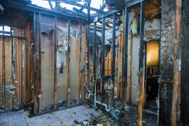 Professional Fire Damage Restoration technician working in Mayer, MN